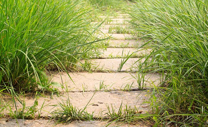 土地の管理が面倒